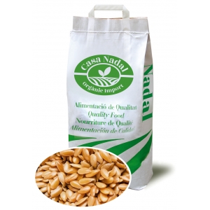Lli Daurat ECO - 5 kg (1x1)