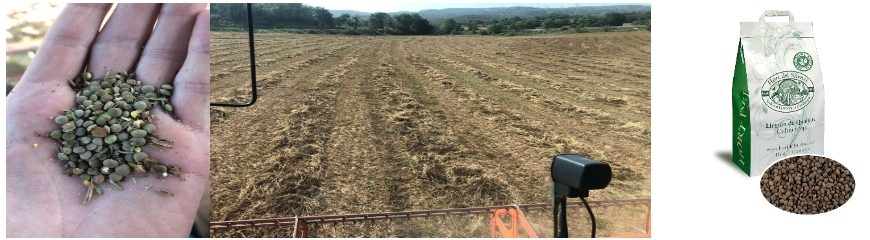 Llegums en Gra ECO
