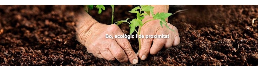 Olives ECO