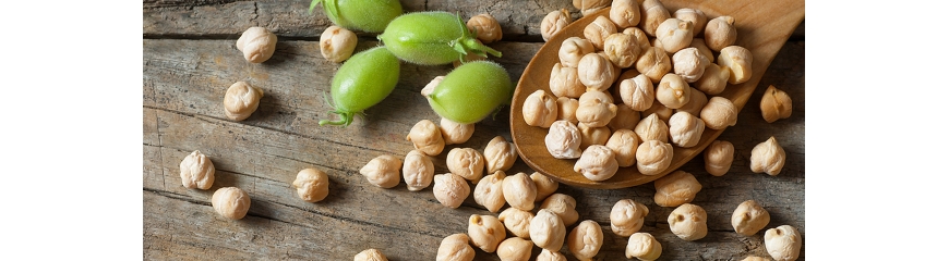 Cigró en Gra ECO